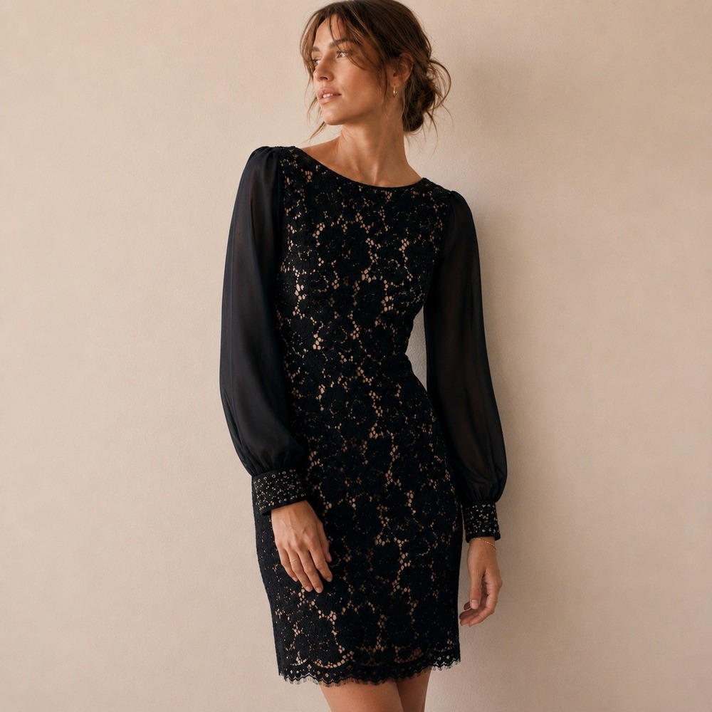Eliza J Sheer Lace Cocktail Sheath Dress Sz 4 Black